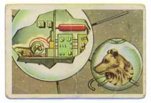 3. LAIKA -- FIRST SPACE TRAVELLER