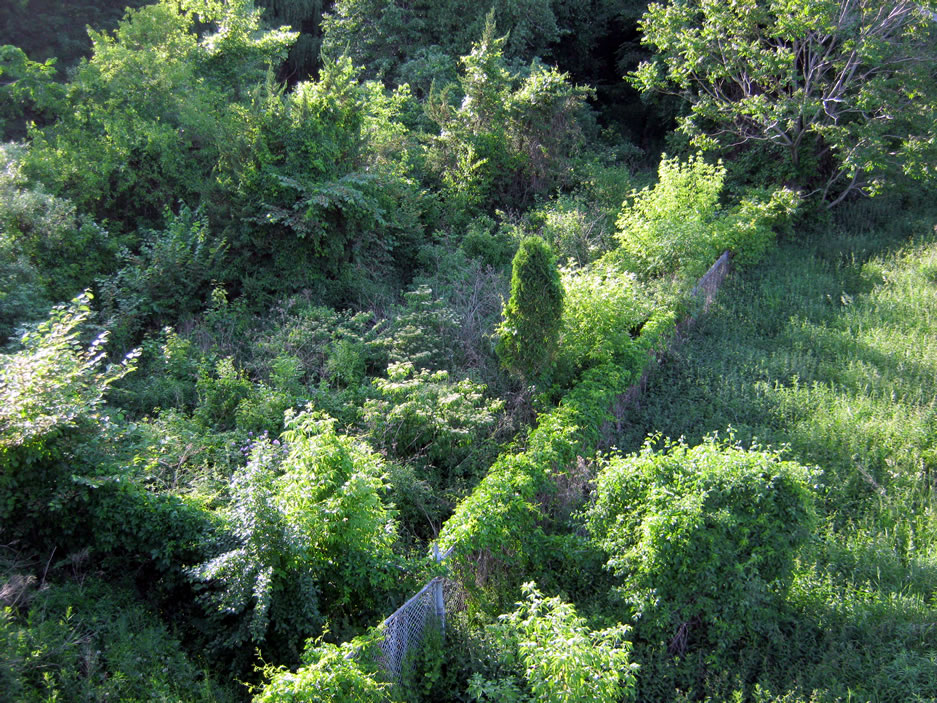 Riverdale Farm fence