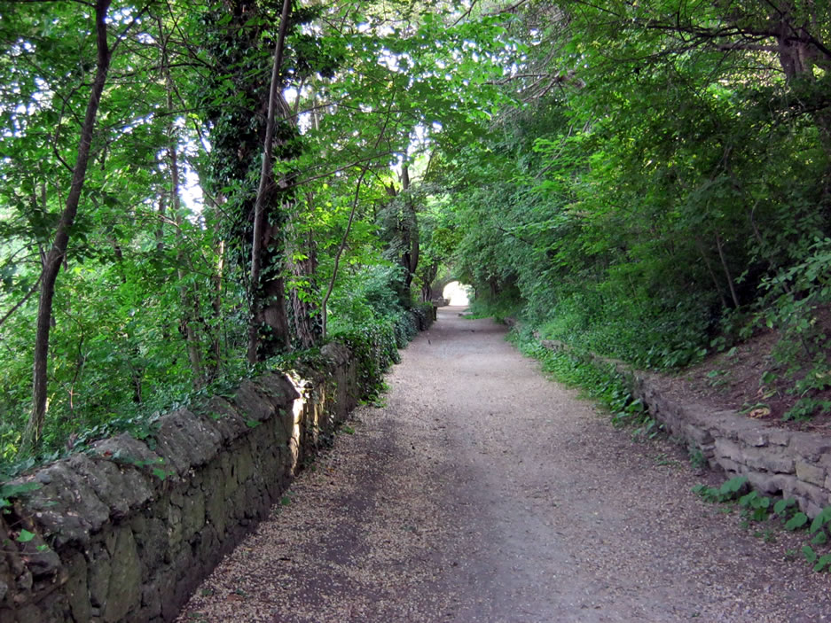 Riverdale Farm road looking west