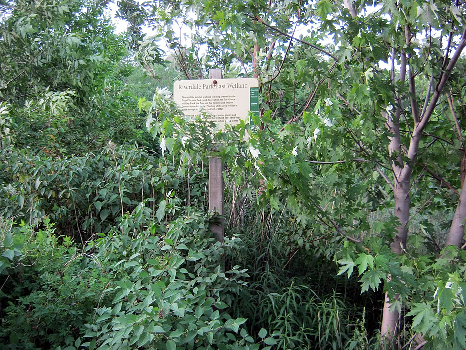 The Riverdale Park East Wetlands