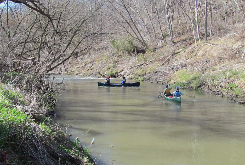 Stones in the shallows