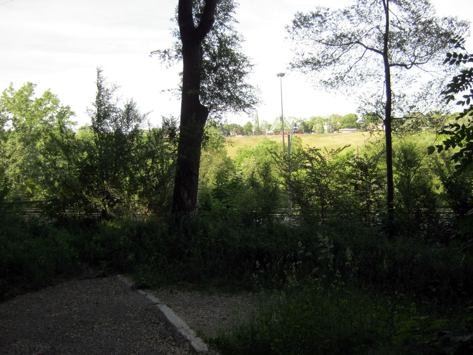 The end of Winchester Street