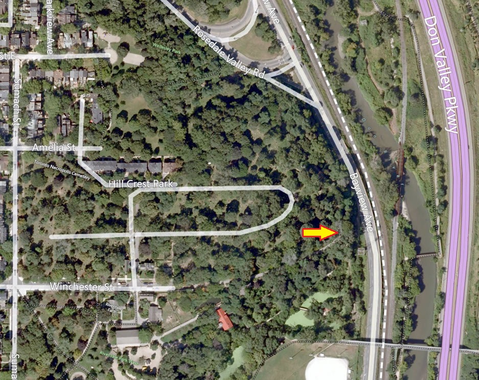 Aerial view of Winchester Street at Bayview